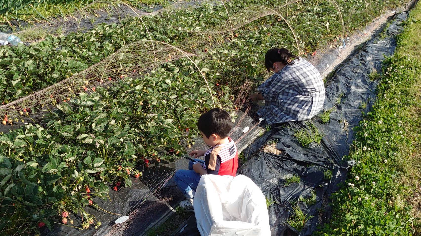 交野市、枚方市の注文住宅