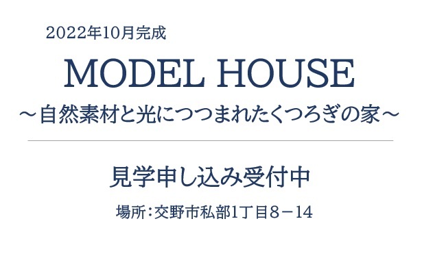 MODEL HOUSE